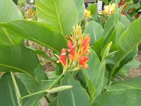 DSCN1258.webp