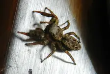 DSCN0283.webp