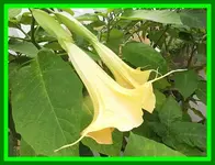 049.webp
