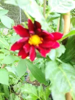 image.webp