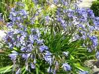 DSCN9354.webp