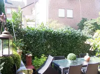 100_3964.webp