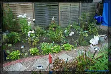 comp_DSC02165.webp