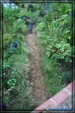 comp_DSC02167.webp