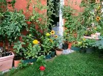 DSCN_0_1884.2.webp