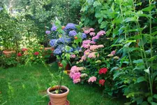 DSC_5_0939.2.webp