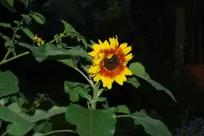 DSC_5_1004.2.webp