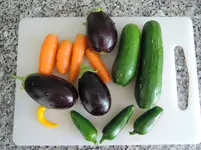 DSCN_0_1878.2.webp