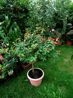 DSCN_0_1897.2.webp