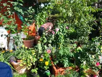 DSCN_0_1901.2.webp