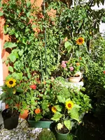 DSCN_0_1909.2.webp