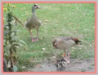 134.webp