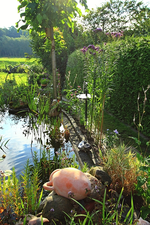 Teichbeet angelegt3_700.webp