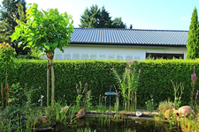 Teichbeet angelegt1_640.webp
