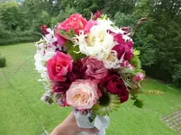 P1180770.webp