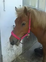 20140817_170117.2.webp