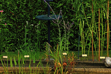 elegante Pflanzenstecker_640.webp