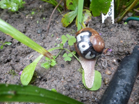 P1180617.webp