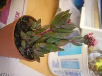 DSCN1295.jpg