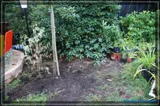 comp_DSC02170.webp