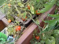 arbeit 17.8 018.webp