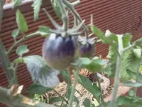 arbeit 17.8 028.webp