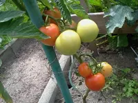 arbeit 17.8 038.webp