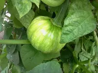 arbeit 17.8 075.webp