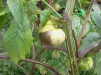 arbeit 17.8 062.webp