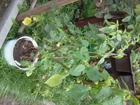 arbeit 17.8 064.webp