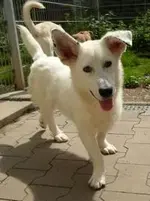 csm_Til_05_2012_FH233__14_6ff902644f.webp