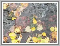 016.webp