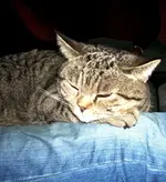 DSCN0706.webp