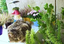 DSCN0565.webp