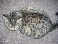 DSCN1363.webp