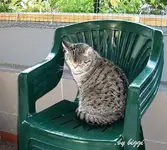 DSCN1384.webp