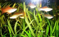 DSCN0481.webp