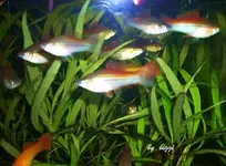 DSCN0743.webp