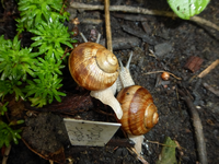 P1180637.webp