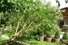 bild 2.webp