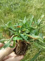 CAM00119[1].webp
