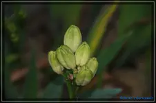 comp_DSC02178.webp