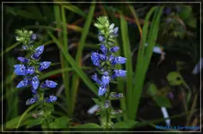 comp_DSC02182.webp