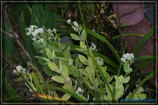 comp_DSC02183.webp