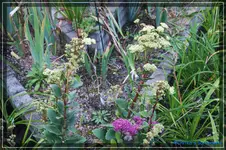 comp_DSC02185.webp
