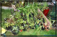 comp_DSC02177.webp