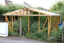 Tomatenhaus IMG_4379.webp