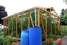 Tomatenhaus PS agIMG_4353.webp