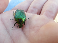 P1180830.webp
