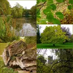 Herbstzauber.webp